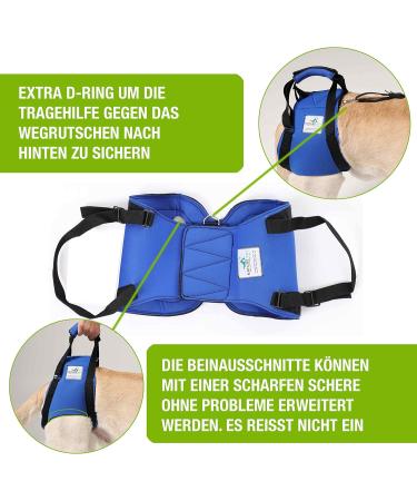 Premium XL Blue Dog Rehabilitation Aid - Neoprene Walking Support for Spine Hip & Knee Issues | From Nature Pet - Buy Online on GoSupps.com