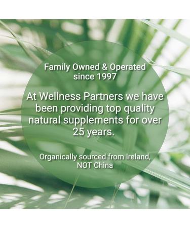 Now New UTI-Slip D Mannose Non GMO Organic Source Powder 65g jar - Buy Online on GoSupps.com