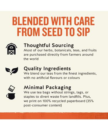 Celestial Seasonings Bengal Spice Herbal Tea (Pack of 6) White - Buy Online on GoSupps.com