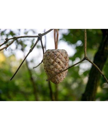 Buy DoBar 24104e Premium Bird Feed Mix | High-Quality Fat-Filled Pine Pins for Wild Birds - All-Year Garden Feed - 8 Large Packs - Buy Online on GoSupps.com