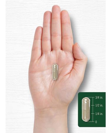 Carlyle Turkey Tail Mushroom Capsules 1200mg 200 Count Non-GMO Gluten Free Extract - Buy Online on GoSupps.com