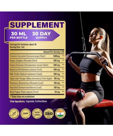 Tenmido 9in1 Liquid Turmeric Curcumin Supplement with Ginger Ceylon Cinnamon Berberine HCl Milk Thistle Apple Cider Vinegar Rosemary Holy Basil & Black Pepper - 30ml 1Fl Oz - Buy Online on GoSupps.com