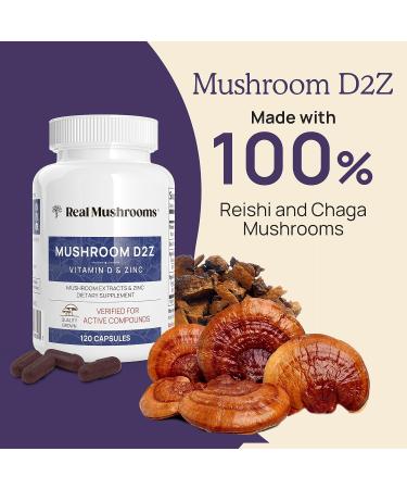 Real Mushrooms Zinc Supplements for Adults (120ct) - Immune Support with Chaga & Reishi - Vegan, Gluten-Free, Non-GMO - Mushroom Zinc Capsules - Buy Online on GoSupps.com