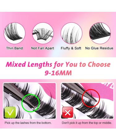 D Curl Cluster Lashes Kit with Lash Bond & Seal Glue - 9-16MM Individual Eyelash Extension Kit - Buy Online on GoSupps.com