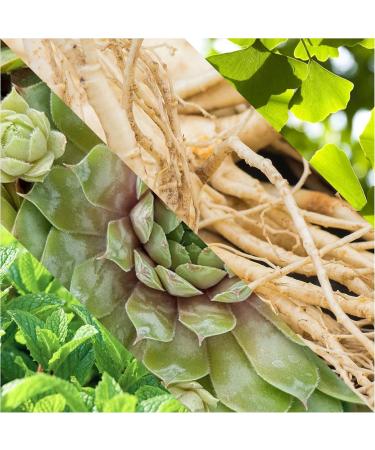  PLISSON Plisson - Men's 3-in-1 Shower Gel Body Hair Beard - All Skin Types - 95% Natural Ingredients Ginkgo Biloba Extract Ginseng and Joubarb - Made in France - 125 ml - Buy Online on GoSupps.com