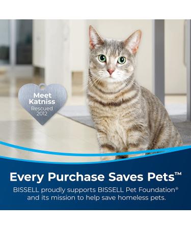 BISSELL Oxy Stain Destroyer Pet Plus Pretreat 1773 - 22 oz | Effectively Removes Pet Stains - Buy Online on GoSupps.com
