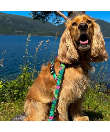 Max & Molly H-Shaped Dog Harness for Small Dogs | Ultra-Comfortable Neoprene XS Tropical | Padded & Lightweight Safety - Buy Online on GoSupps.com