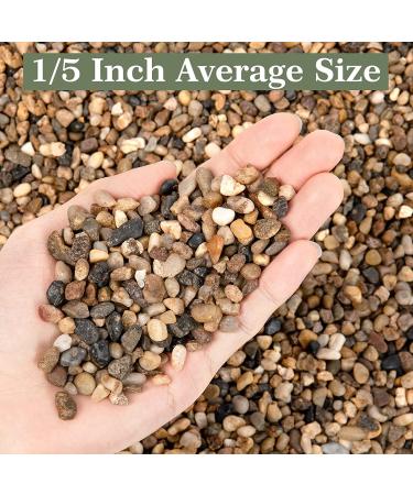 2.5lb Mixed Color Decorative Rocks for Plants - Natural Pea Gravel for Succulents, Vases, Fish Tanks - Matte Texture, 1/5 Inch - Buy Online on GoSupps.com