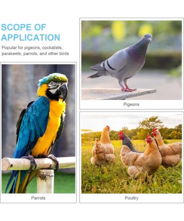 Yardwe 100 PC Nymphensittich Leg Band & 6mm Chicken Foot Rings - Ideal Poultry Toys & Accessories - Buy Online on GoSupps.com