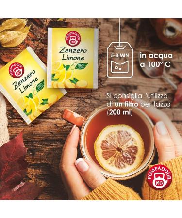 Pompadour Infusion de gingembre et citron - 60 filtres (3 paquets de 20 filtres) aromatique et pic 100% naturel sans lactose gluten et allerg nes v g talien - Buy Online on GoSupps.com
