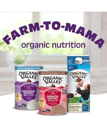 Organic Valley Postnatal Support Smoothie Mix, Vanilla 10 oz - Buy Online on GoSupps.com