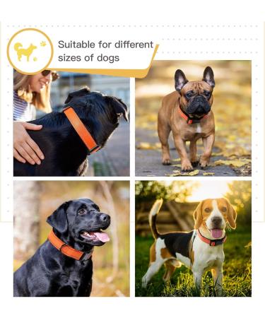 Heele Soft Padded Neoprene Dog Collar for Small & Medium Dogs | Adjustable Reflective Training Collar - Orange Longitudinal 34-52 cm (1 Pack) - Buy Online on GoSupps.com