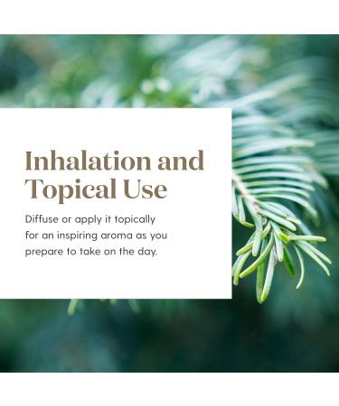Grounding Essential Oil Blend | Empowering Aroma for Inner Strength | 5 ml by Young Living | Uplift & Ground Your Day - Buy Online on GoSupps.com