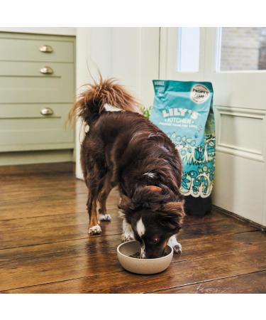 LK CN Croquette Salmon PDT Bag/1 KG Ali.CHIENLILY'S K. - Buy Online on GoSupps.com