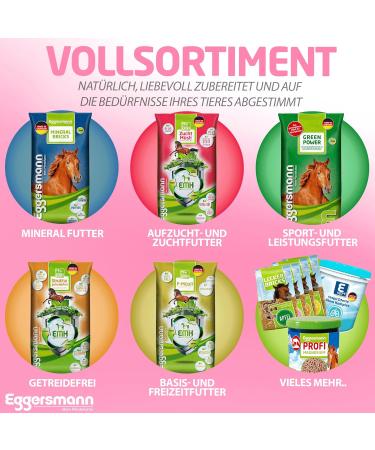 Eggersmann Delicious Raspberry Bricks for Horses & Ponies - 1 kg Treats | Premium Horse Snacks - Buy Online on GoSupps.com