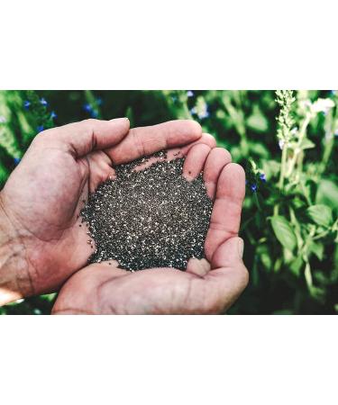 Heartland Chia  USA Grown Whole Raw Black Chia Seeds  12 oz | Sustainable  Non-GMO  Farm-direct - Buy Online on GoSupps.com