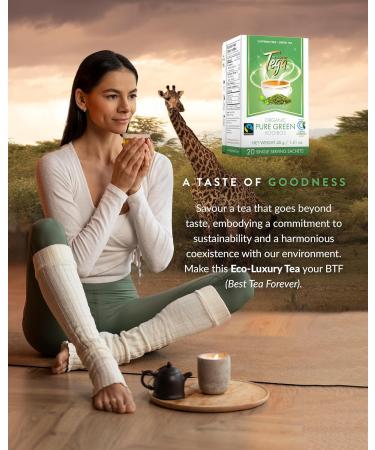 Tega Organic Pure Green Rooibos Tea | Green Tea in Eco-Friendly Tea Bags Fairtrade Carbon Neutral Zero Sugar Caffeine Free 20 Individually Wrapped Tea Bags (Pack of 3) Pure Green Rooibos Tea 20 Count (Pack of 3) - Buy Online on GoSupps.com