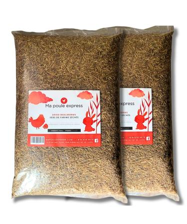 Natural Dried Mealworms for Birds and Chickens All Seasons for Wild Birds and Hens - Ma Poule Express (22 Lbs) 9.96 kg (Pack of 1)