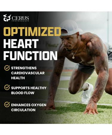 Cerus Performance Flow Stimulant-Free Endurance Pre-Workout Boosts Stamina Supports Heart Health with Natural Herbs Vegan-Friendly - 2 Fl Oz - Buy Online on GoSupps.com