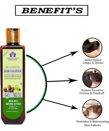 Blessfull Healing Organic Amla & Reetha Hair Cleanser | Shampoo 100 ML (Packing May Vary) - Buy Online on GoSupps.com
