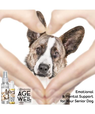 Corgi Age Well Dog Aromatherapy Roll-On 0.45-Ounce Roll-On Corgi - Buy Online on GoSupps.com