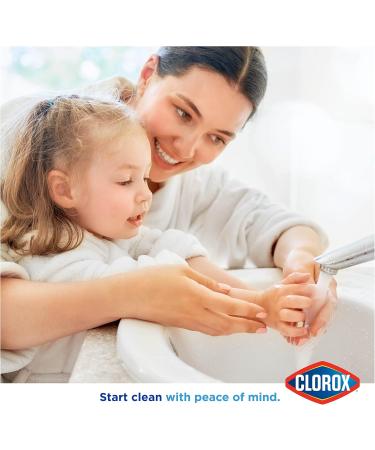 Clorox Liquid Hand Soap - 16 Fl Oz Pump Germ Eliminator Soft on Hands Tough on Dirt Strawberry Scented Hand Wash & Foam Soap - Buy Online on GoSupps.com