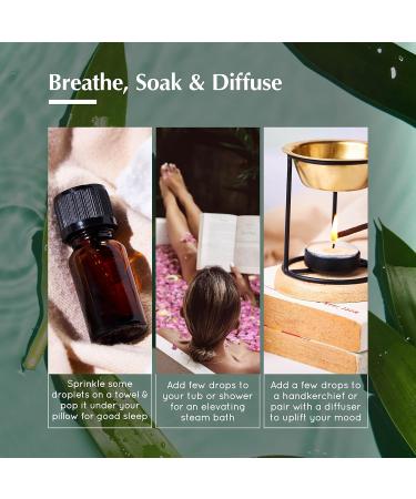 AROMAFUME Eucalyptus Essential Oils - 100% Natural Therapeutic Grade Essential Oil - Pure Herbal Aromatherapy Oil for Home Diffusers - Gifts for Her - 10ml Eucalyptus 0.33 Fl Oz (Pack of 1) - Buy Online on GoSupps.com