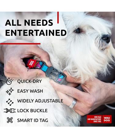 Waudog Nylon Collar for Dogs - Adjustable Durable and Stylish | Ideal for Large Medium and Small Breeds - Summer Collection - 31-49 cm Length 25 mm Width - Buy Online on GoSupps.com