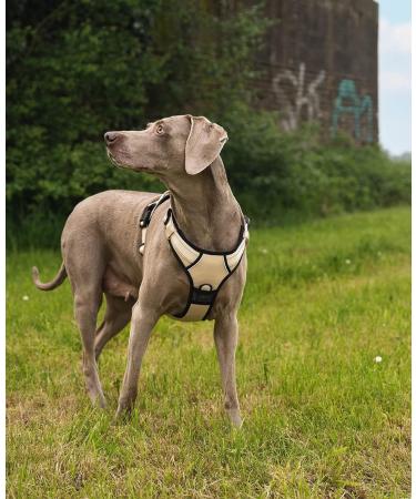 Buy Lionto XL Beige Dog Harness - Padded Anti-Pull & Reflective Safety Adjustable for Comfort | International Shipping Available - Buy Online on GoSupps.com
