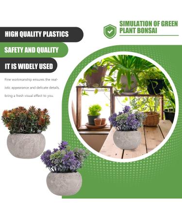 Ciieeo 2pcs Simulated Green Bonsai Artificial Succulents Plants Miniture Decoration Artificial Cactus Small Succulent Plants Silk Plants Greenery Decor Accessories Office Foam Nordic - Buy Online on GoSupps.com