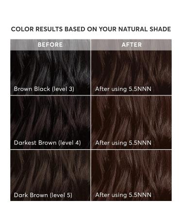 Madison Reed Radiant Hair Color Kit - Modena Brown 5.5NNN, Shades of Black - Pack of 1 - Buy Online on GoSupps.com