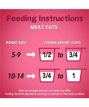 Purina Friskies Gravy Swirlers Adult Dry Cat Food 3.15lb - Delicious Gravy Flavors | Nutritious Cat Food - Buy Online on GoSupps.com