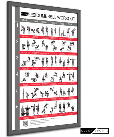 Clean Sports Kurzbang Workout Poster DIN A2 | Six Full-Body Workouts for Home & Studio Fitness - Dumbbell Sport Poster - Buy Online on GoSupps.com