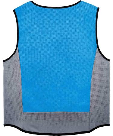 Ergodyne Chill-Its 6667 Cooling Vest - Large | Evaporative PVA Material for Fast Relief - Buy Online on GoSupps.com