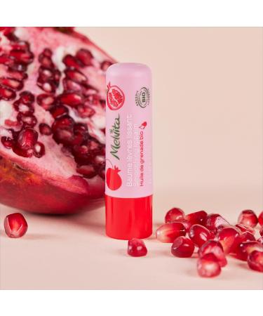 Melvita - Smoothing Lip Balm - Softening and Nourishing - 100% Natural Origin - Buy Online on GoSupps.com