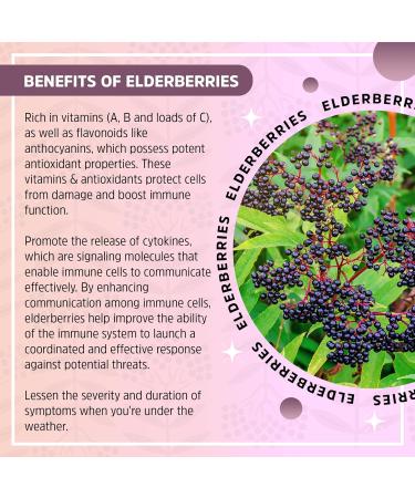 Seattle Elderberry Allergy Defense Bundle A 4oz Bottle of Allergy Defense with Nettle & 7oz Allergy Defense Gummies Made from Only Organic Ingredients in The USA - Buy Online on GoSupps.com