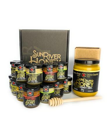 Sun River Honey Flavoured Honey Infusions (Mini Collection + Turmeric Ginger Single Bundle)