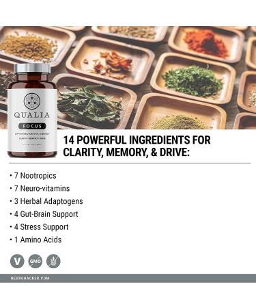 Qualia Focus Brain Booster Supplement | Enhanced Nootropic for Mental Energy, Alertness & Memory | Ginkgo Biloba, L-Theanine | 40 ct - Buy Online on GoSupps.com