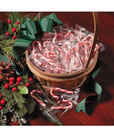Buy Mini Candy Canes - 100 Individually Wrapped Bulk Christmas Candy for International Shipping - Buy Online on GoSupps.com
