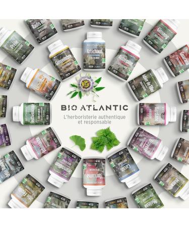 Organic Green Tea Extract - 400 mg - 200 Tablets - Buy Online on GoSupps.com