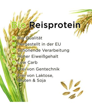 EU Produced Organic Rice Protein - 1000g | Tested Quality, High Protein | Gentle Processing - Buy Online on GoSupps.com
