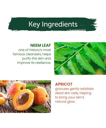 Himalaya Purifying Neem Scrub 5.07 oz - Deep Clean for Acne Reduction & Dead Skin Removal - Buy Online on GoSupps.com