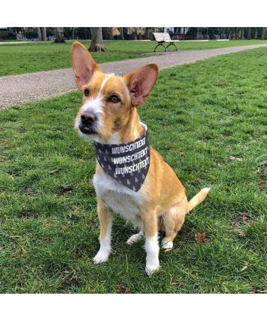Dog Scarf with Custom Name | Printplanet Personalized Three-Line Text Scarf for Dogs - Size M - Buy Online on GoSupps.com