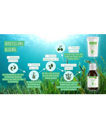 Norsan Premium Omega 3 Vegan Capsules - 80 Pieces 1700mg Daily Dose 420mg EPA & 840mg DHA Algae Oil from Sustainable Cultivation - Buy Online on GoSupps.com
