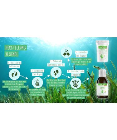 Norsan Premium Omega 3 Vegan Capsules 2 Pack - 1 700mg Omega 3 Daily Dose 420mg EPA & 840mg DHA Sustainable Algae Oil - Buy Now! - Buy Online on GoSupps.com