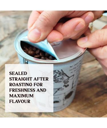 Beanpress Coffee Co. - Strada Espresso Blend - 3 x 340g - just over 1kg Whole Bean Coffee - Speciality Dark Roast Strada Blend - Buy Online on GoSupps.com