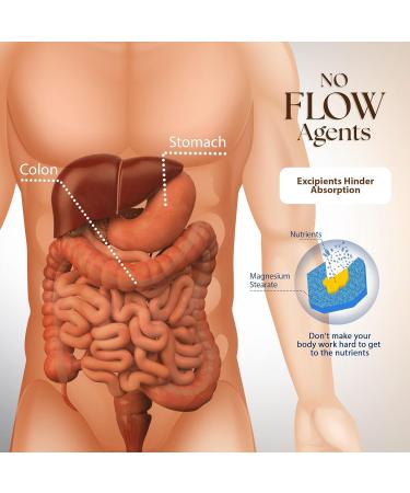 Dr. Clark Inulin Powder (FOS) – Prebiotic Soluble Fiber for Gut Health Supports Digestive Health & Regularity 300g - Buy Online on GoSupps.com