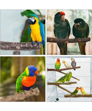 Bird Cage Accessories - 5-Part Set of Bird Toys Swing & Wood Seat Sticks for Parrots - Buy Online on GoSupps.com