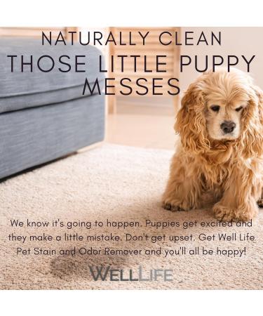 Non-Toxic Pet Stain Remover & Odor Eliminator - Citrus Fresh Plant-Based Urine Cleaner for Dogs & Cats - 16 oz - Buy Online on GoSupps.com