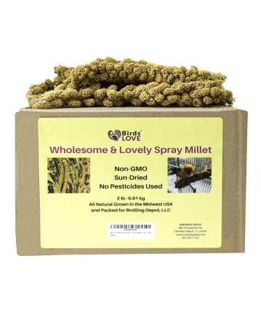 Birds LOVE Spray Millet Wholesome 2lb - Buy Online on GoSupps.com